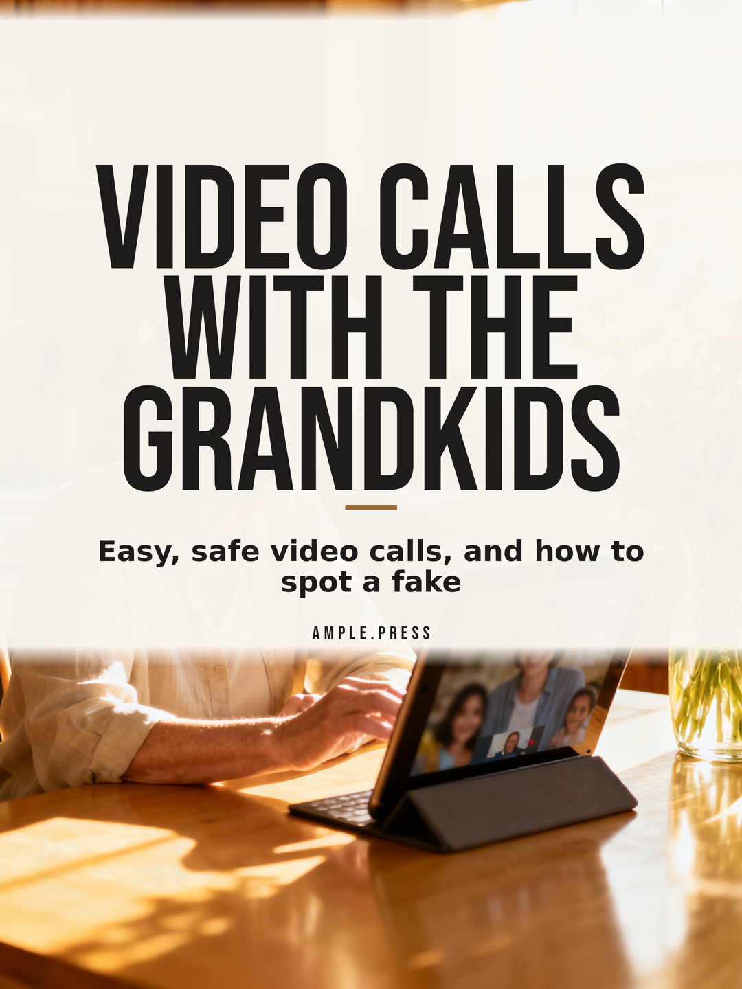 Video Calls With the Grandkids cover